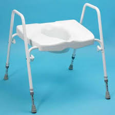 Days Toileting frame 499