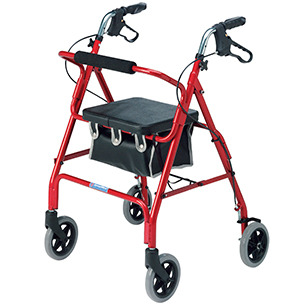 Roma Walker 2462
