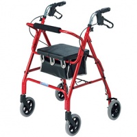 Roma Walker 2462